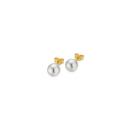 Gellner BASICS Ohrstecker (Ref: 5-22552-03) - Bild 0