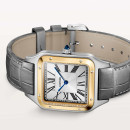 Cartier Santos-Dumont (Ref: W2SA0046) - Bild 5