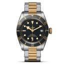 TUDOR Black Bay S&G (Ref: M79733N-0008) - Bild 0