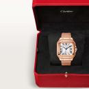 Cartier Santos de Cartier (Ref: WGSA0031) - Bild 8