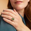 Bron Solar Ring (Ref: 8RR4832GTCIBR) - Bild 2