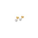 Gellner BASICS Ohrstecker (Ref: 5-22547-03) - Bild 0