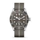 TUDOR Black Bay 58 925 (Ref: M79010SG-0002) - Bild 0