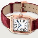 Cartier Santos-Dumont (Ref: WJSA0016) - Bild 6