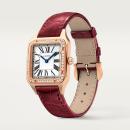 Cartier Santos-Dumont (Ref: WJSA0017) - Bild 2