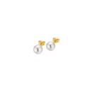 Gellner Basic Ohrstecker (Ref: 5-23686-01) - Bild 0