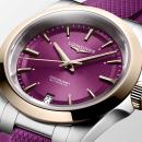 Longines CONQUEST (Ref: L3.430.5.98.9) - Bild 4