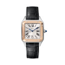 Cartier Santos-Dumont (Ref: W2SA0038) - Bild 0