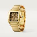 Cartier Santos de Cartier (Ref: WGSA0095) - Bild 7