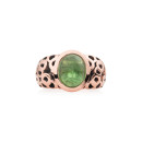Bron Toujours Ajour Ring (Ref: 4RR4823GTC) - Bild 0