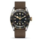 TUDOR Black Bay S&G (Ref: M79733N-0005) - Bild 0