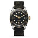 TUDOR Black Bay S&G (Ref: M79733N-0007) - Bild 0