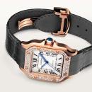 Cartier Santos de Cartier (Ref: WJSA0012) - Bild 6
