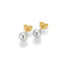 Gellner BASICS Ohrstecker (Ref: 5-22548-03) - Bild 0