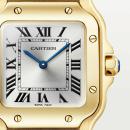 Cartier Santos de Cartier (Ref: WGSA0107) - Bild 5