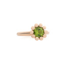 Bron Sprite Ring (Ref: 8RR4589GT) - Bild 0