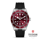 TUDOR Black Bay 58 (Ref: M7939A1A0RU-0003) - Bild 0