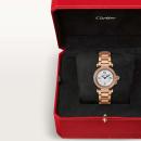 Cartier Pasha de Cartier (Ref: WJPA0018) - Bild 9