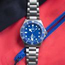 TUDOR Pelagos (Ref: M25600TB-0001) - Bild 5