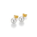 Gellner BASICS Ohrstecker (Ref: 5-22550-03) - Bild 0