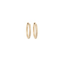 Bron Lux Ohrschmuck (Ref: 7OG477920BR) - Bild 0