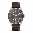 TUDOR Black Bay 58 925 (Ref: M79010SG-0001) - Bild 0