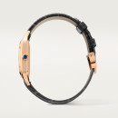 Cartier Santos-Dumont (Ref: WGSA0117) - Bild 3