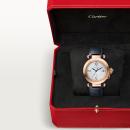 Cartier Pasha de Cartier (Ref: WGPA0014) - Bild 7