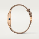 Cartier Santos-Dumont (Ref: WGSA0112) - Bild 4