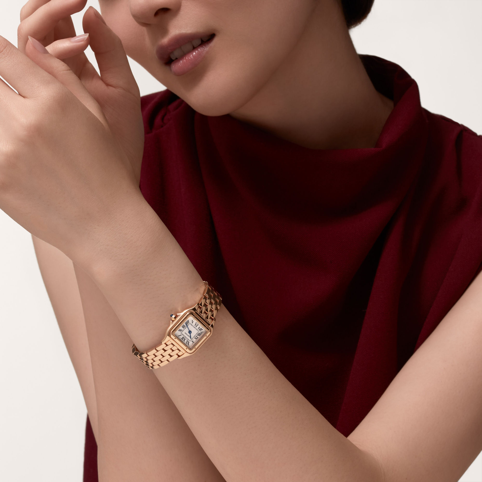 Cartier Panthère de Cartier (Ref: WGPN0040)