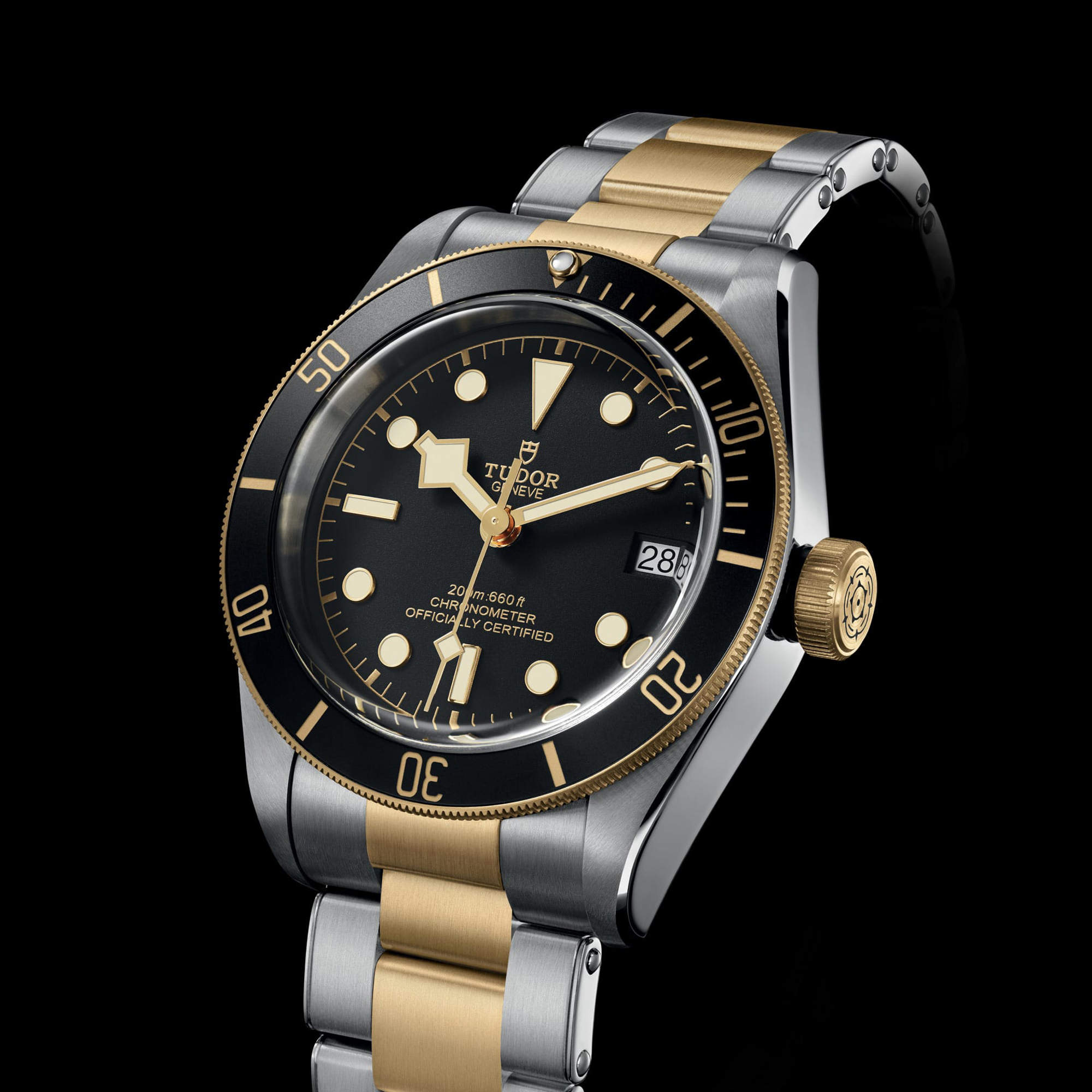 TUDOR Black Bay S&G (Ref: M79733N-0008)