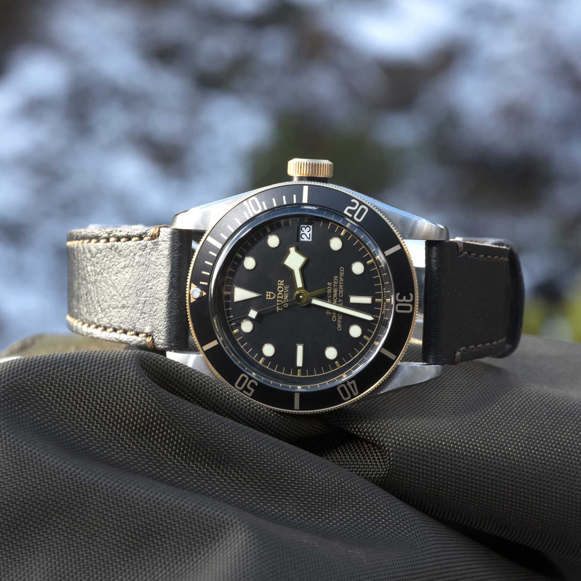 TUDOR Black Bay S&G (Ref: M79733N-0007)