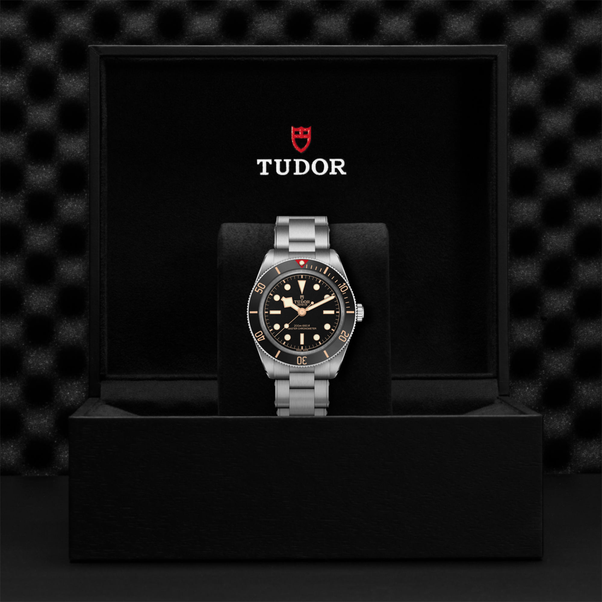 TUDOR Black Bay 58 (Ref: M7939A1A0NU-0002)