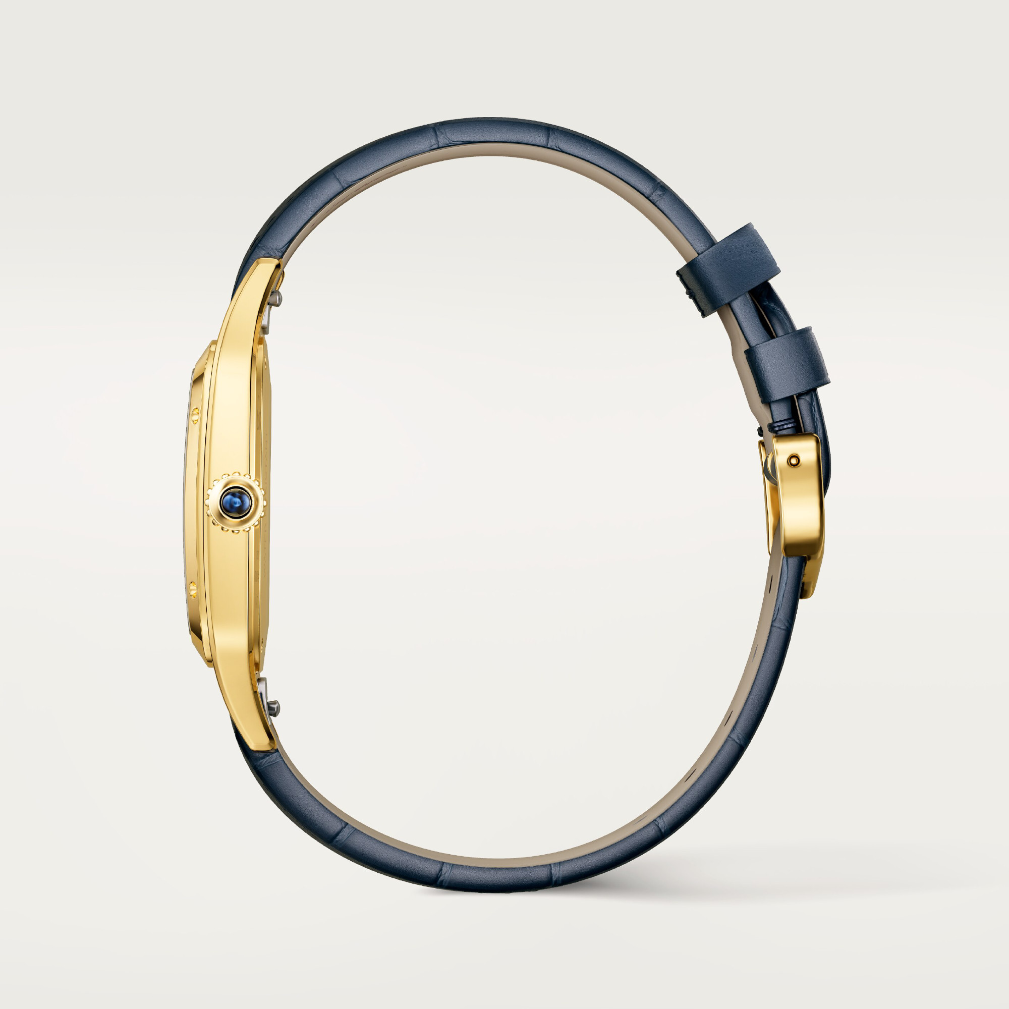 Cartier Santos-Dumont (Ref: WGSA0139)