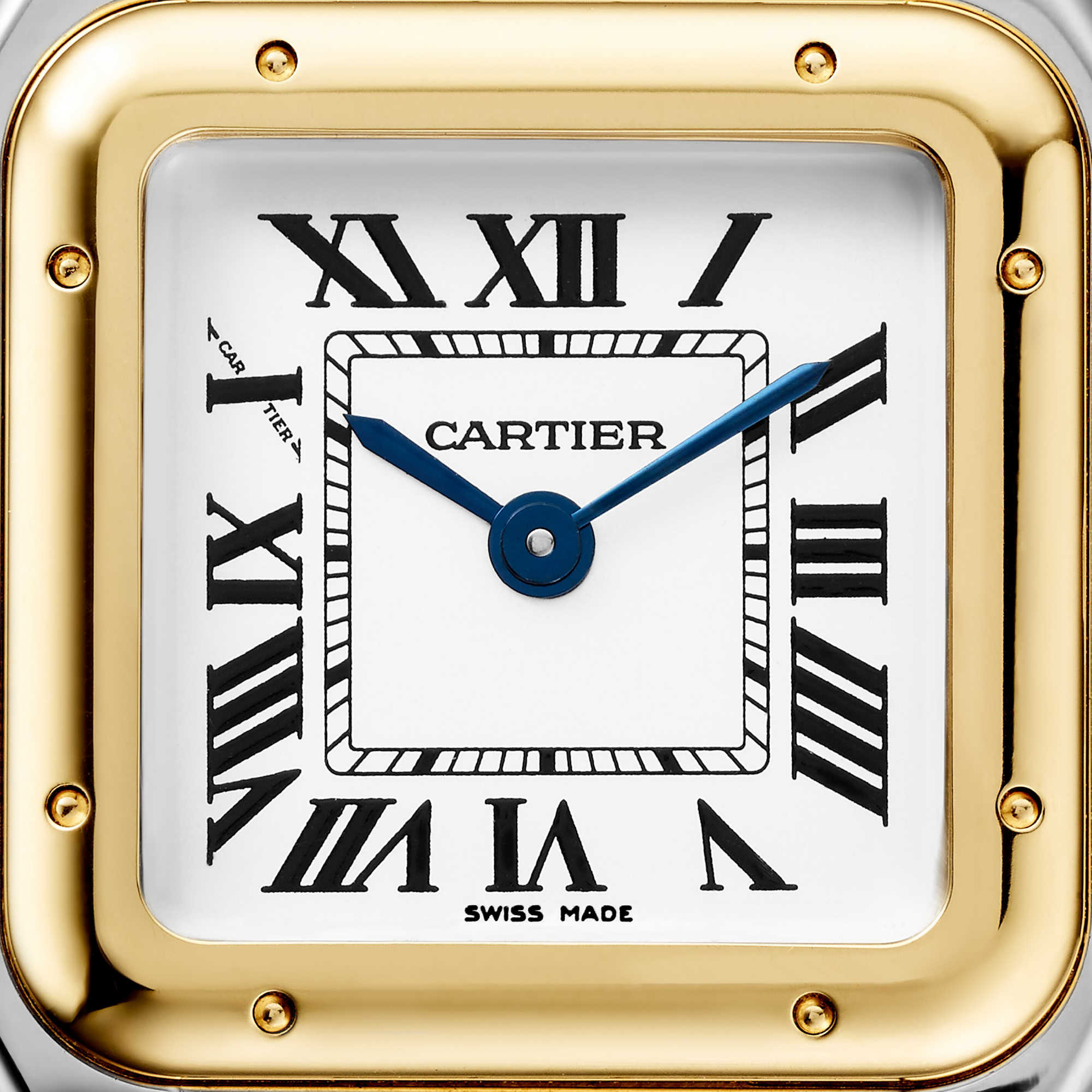 Cartier Panthère de Cartier (Ref: W2PN0018)
