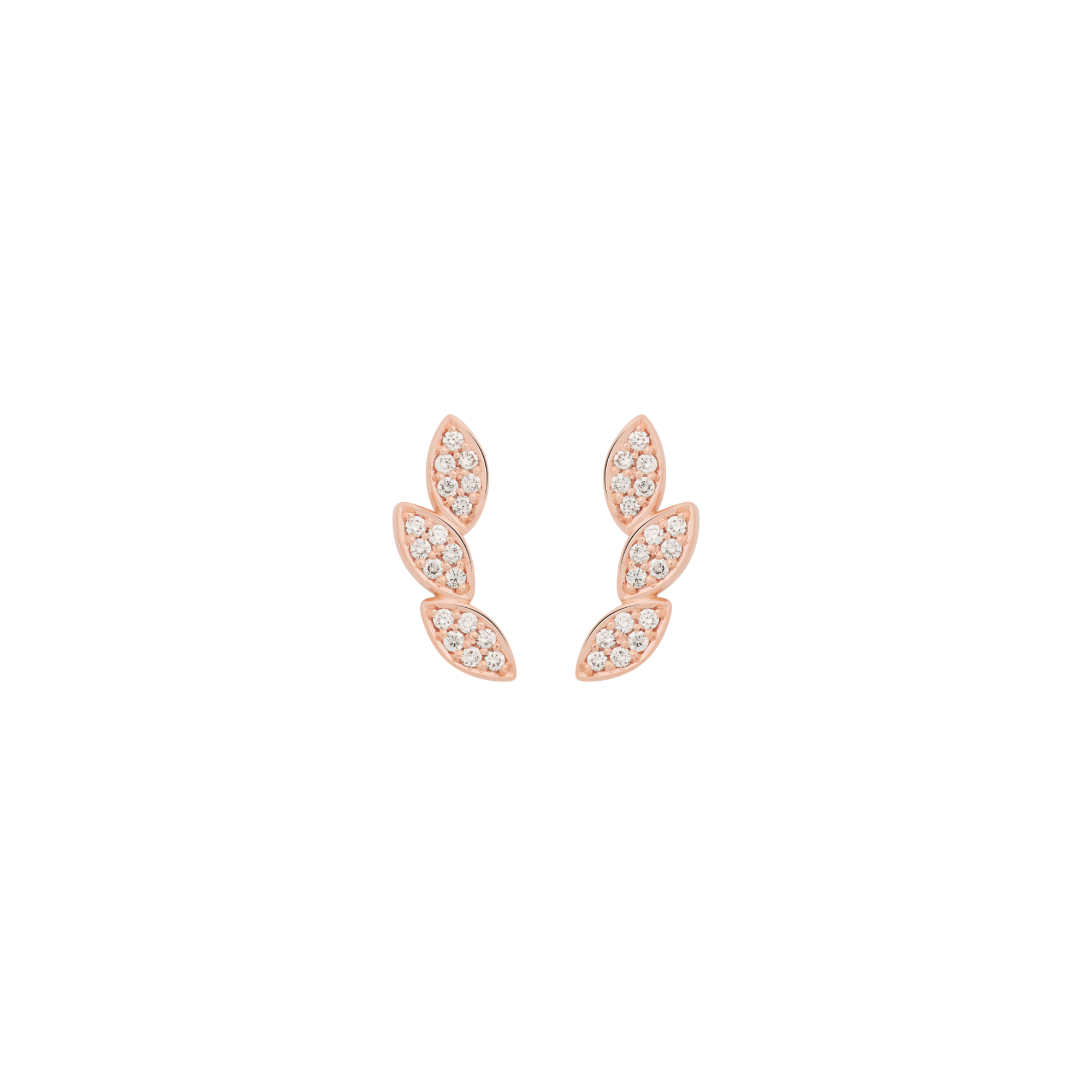 Bron Poppy Petal Ohrschmuck (Ref: 8OR4913BR)