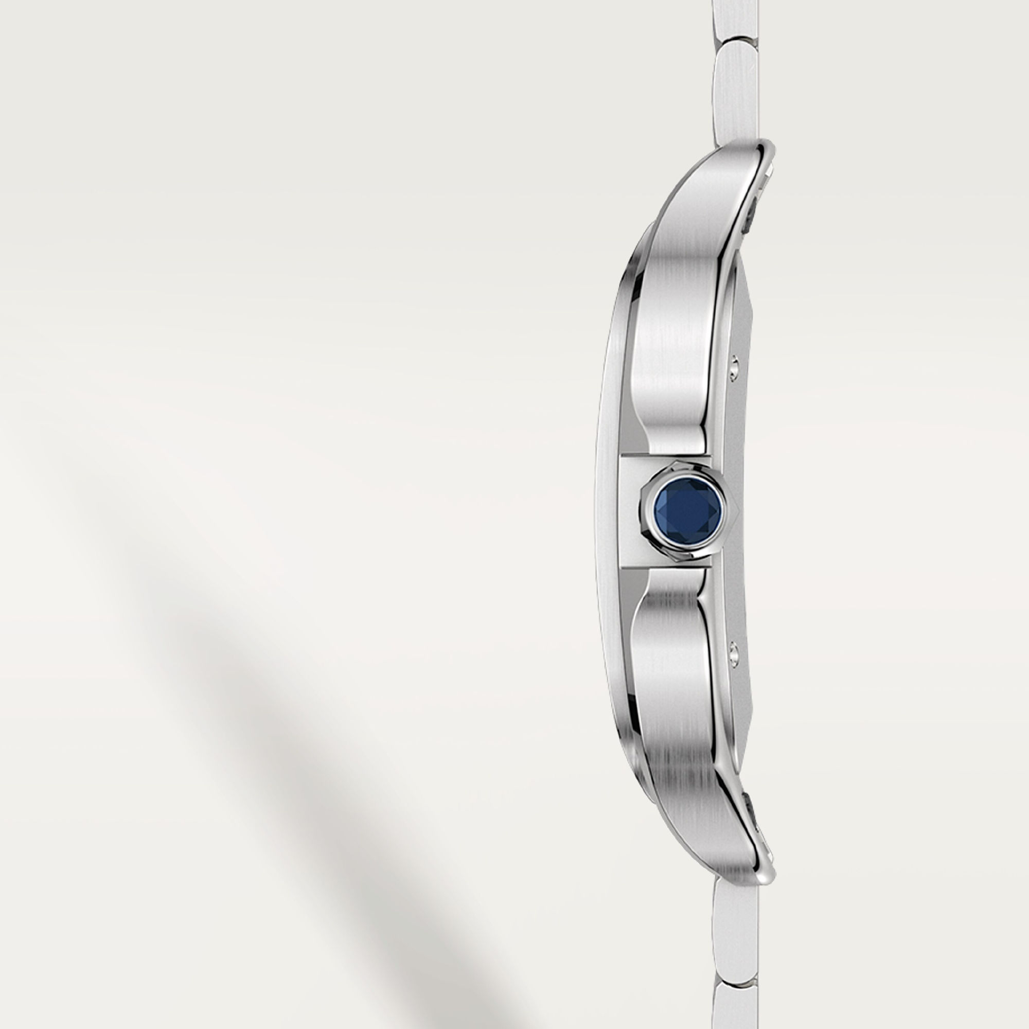 Cartier Santos de Cartier (Ref: WSSA0030)
