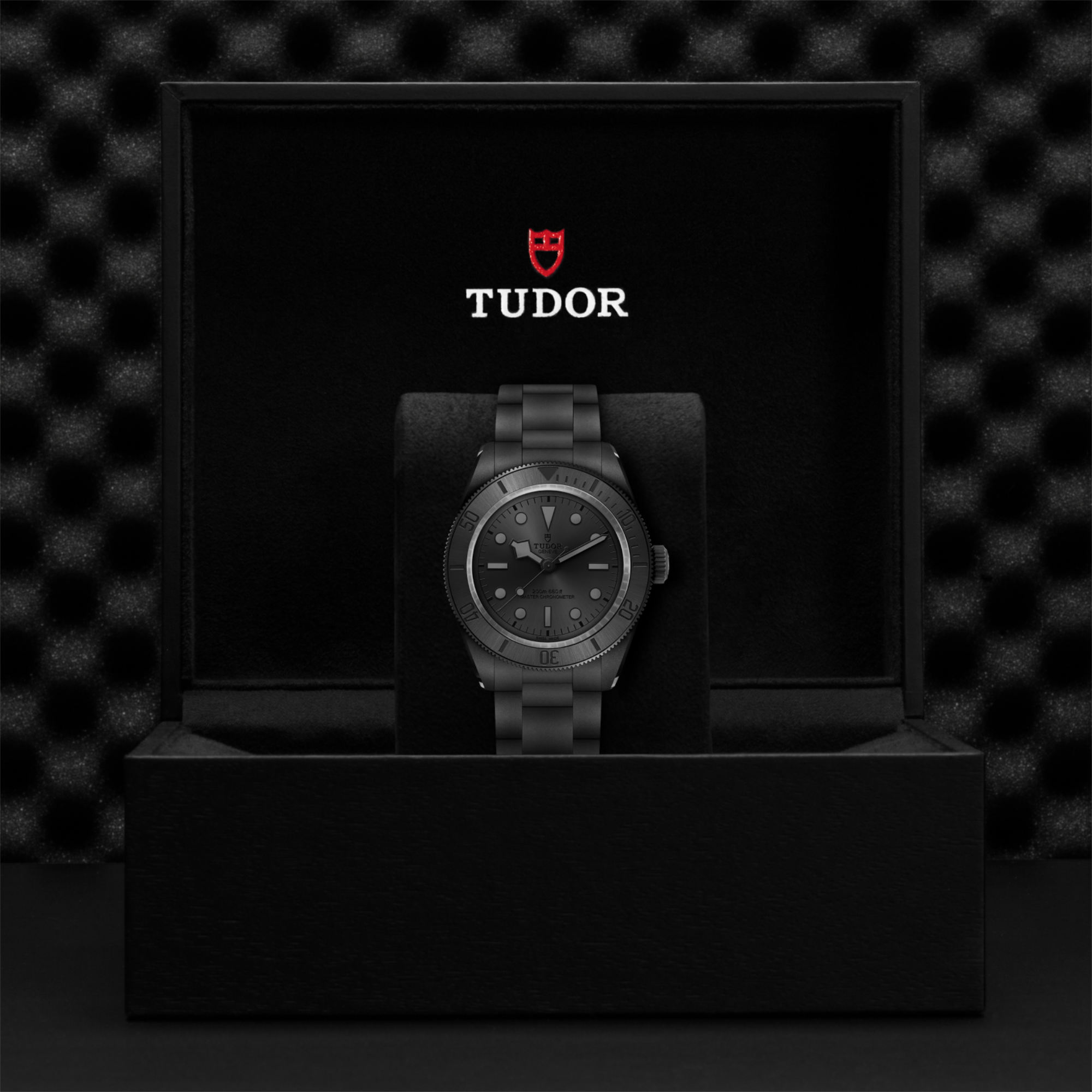 TUDOR Black Bay Ceramic (Ref: M7941A1ACNU-0001)