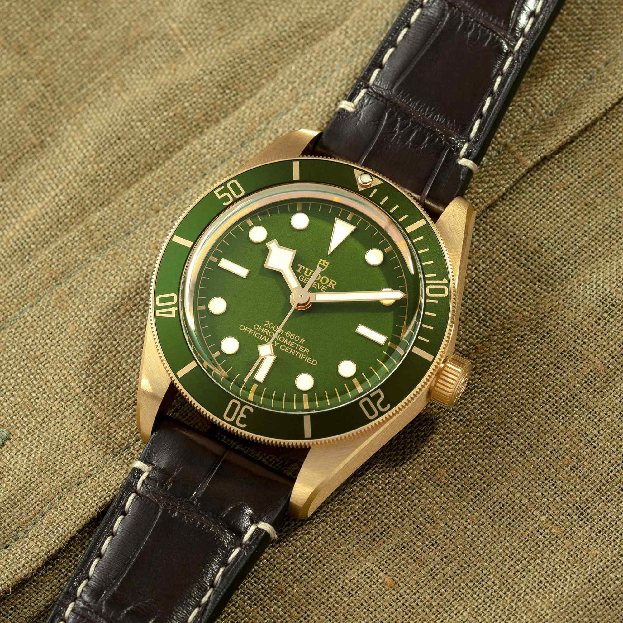 TUDOR Black Bay 58 18K (Ref: M79018V-0001)