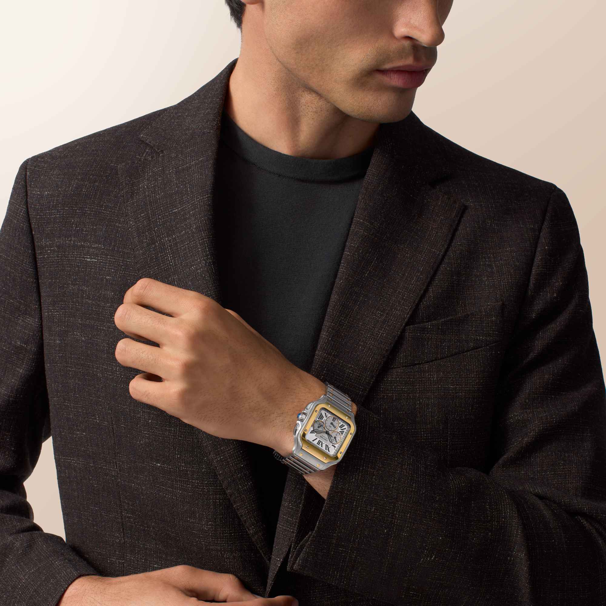 Cartier Santos de Cartier (Ref: W2SA0035)
