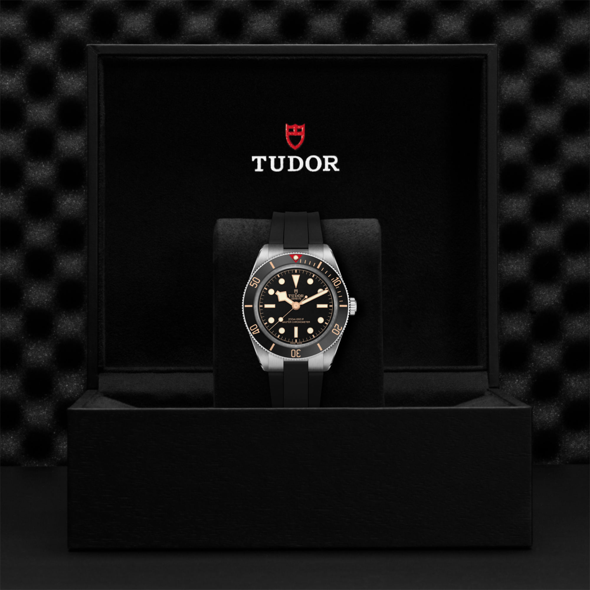 TUDOR Black Bay 58 (Ref: M7939A1A0NU-0003)