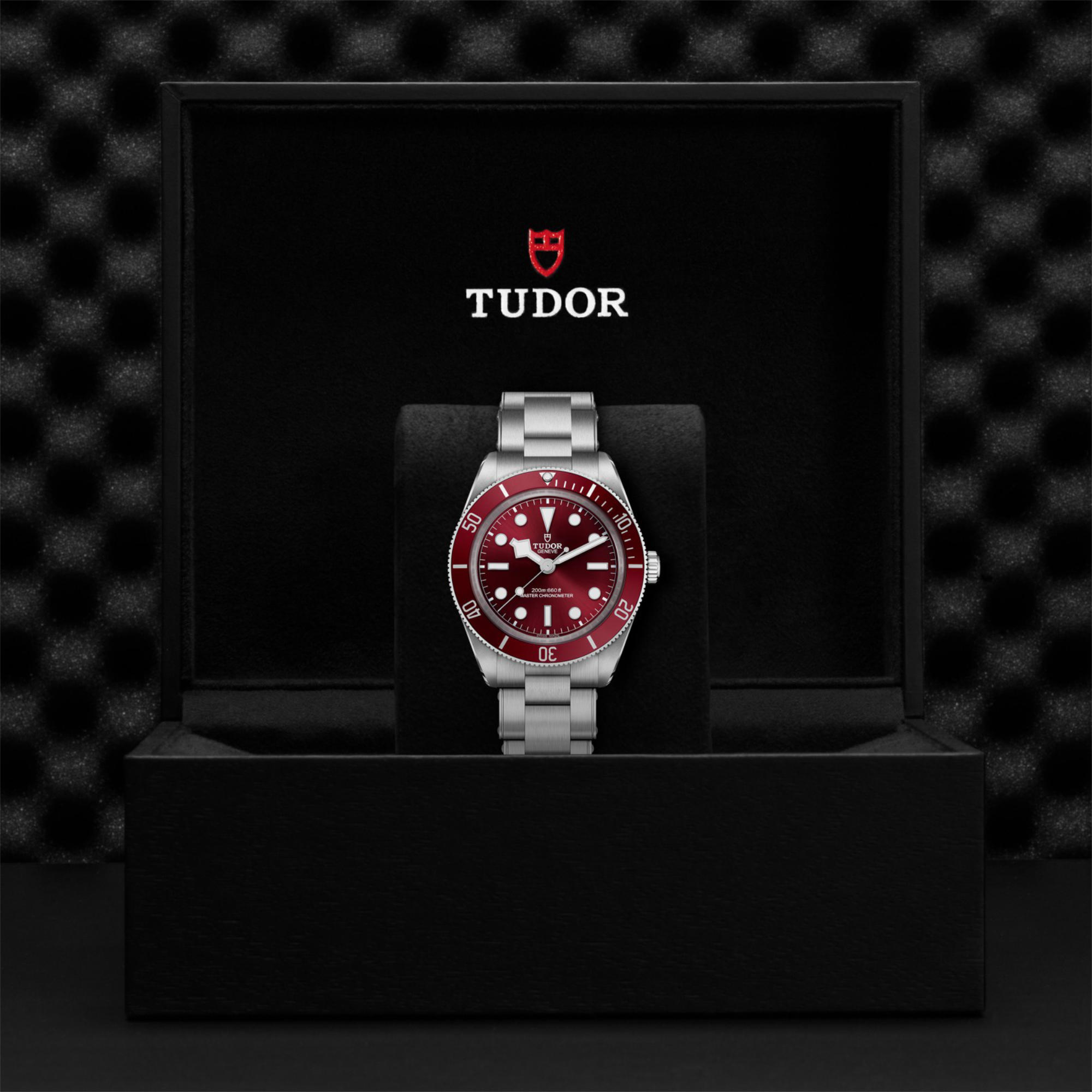TUDOR Black Bay 58 (Ref: M7939A1A0RU-0002)