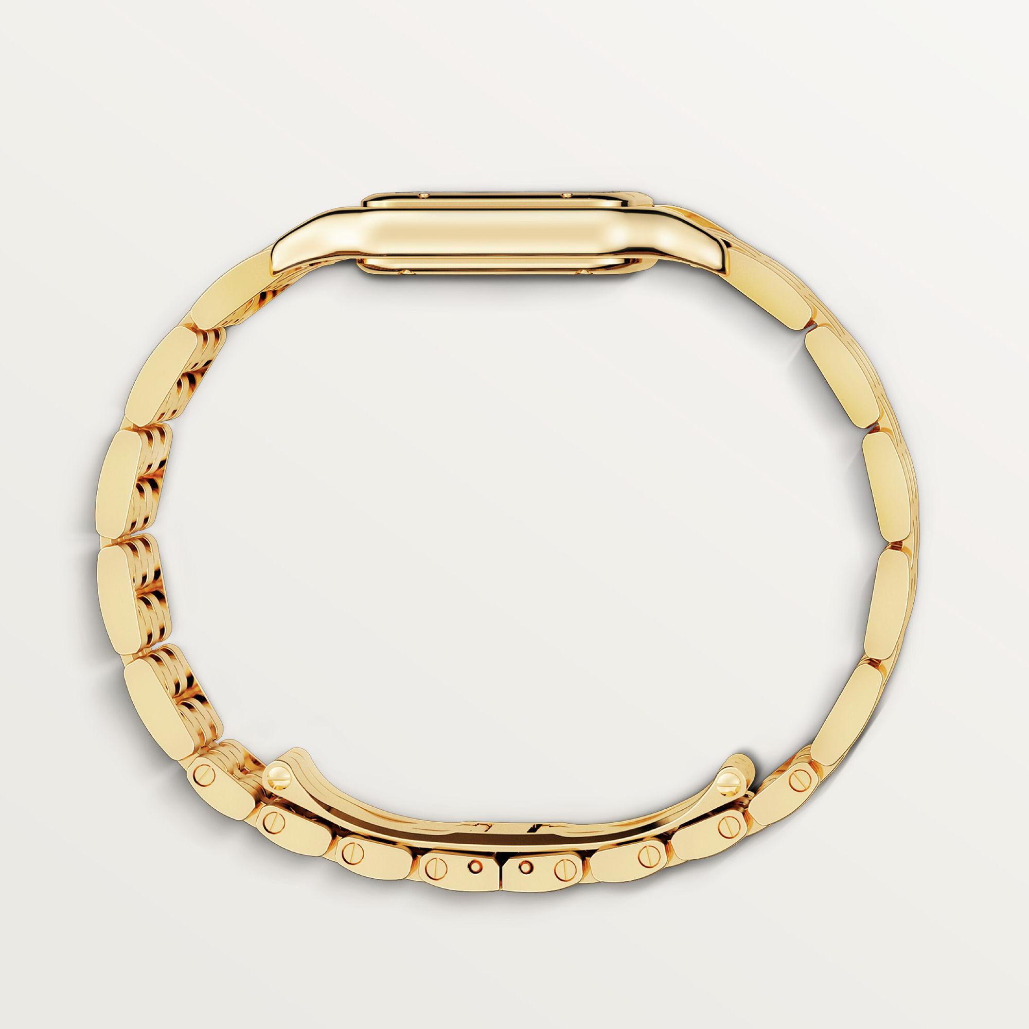 Cartier Panthère de Cartier (Ref: WGPN0009)