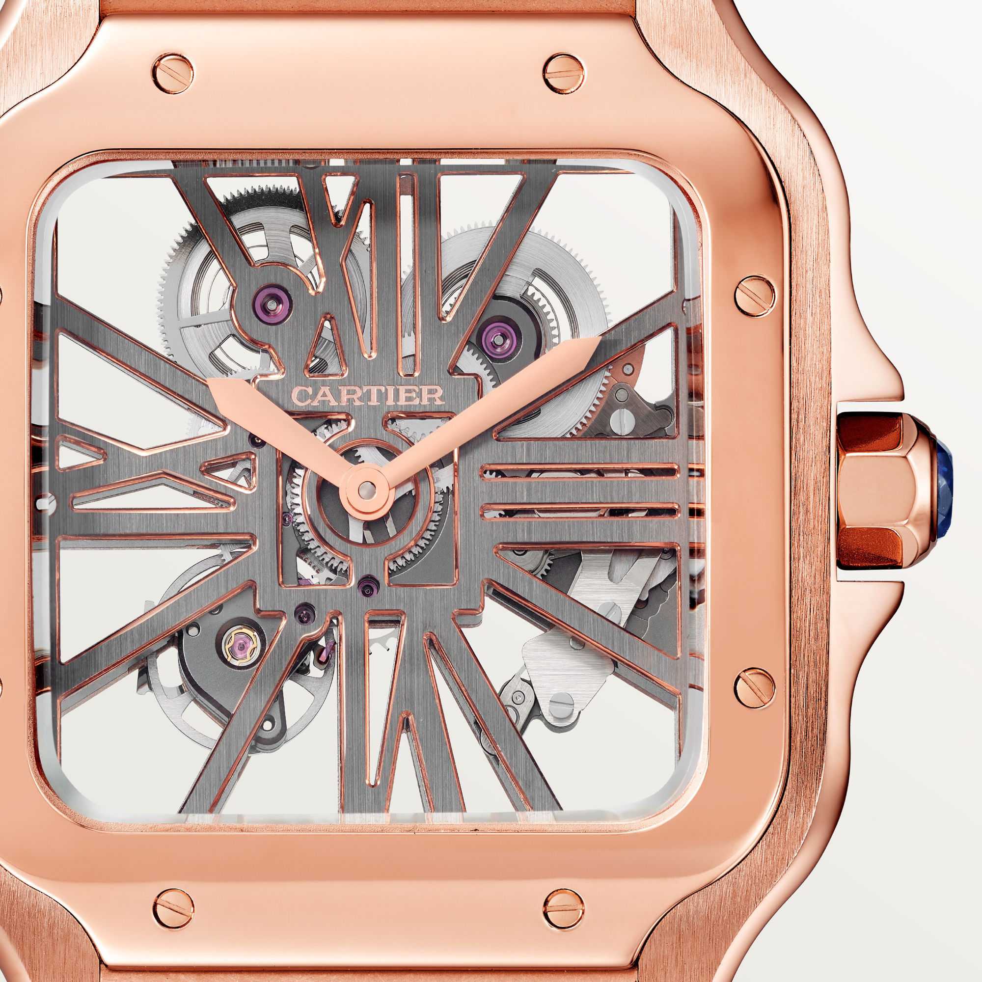 Cartier Santos de Cartier (Ref: WHSA0016)