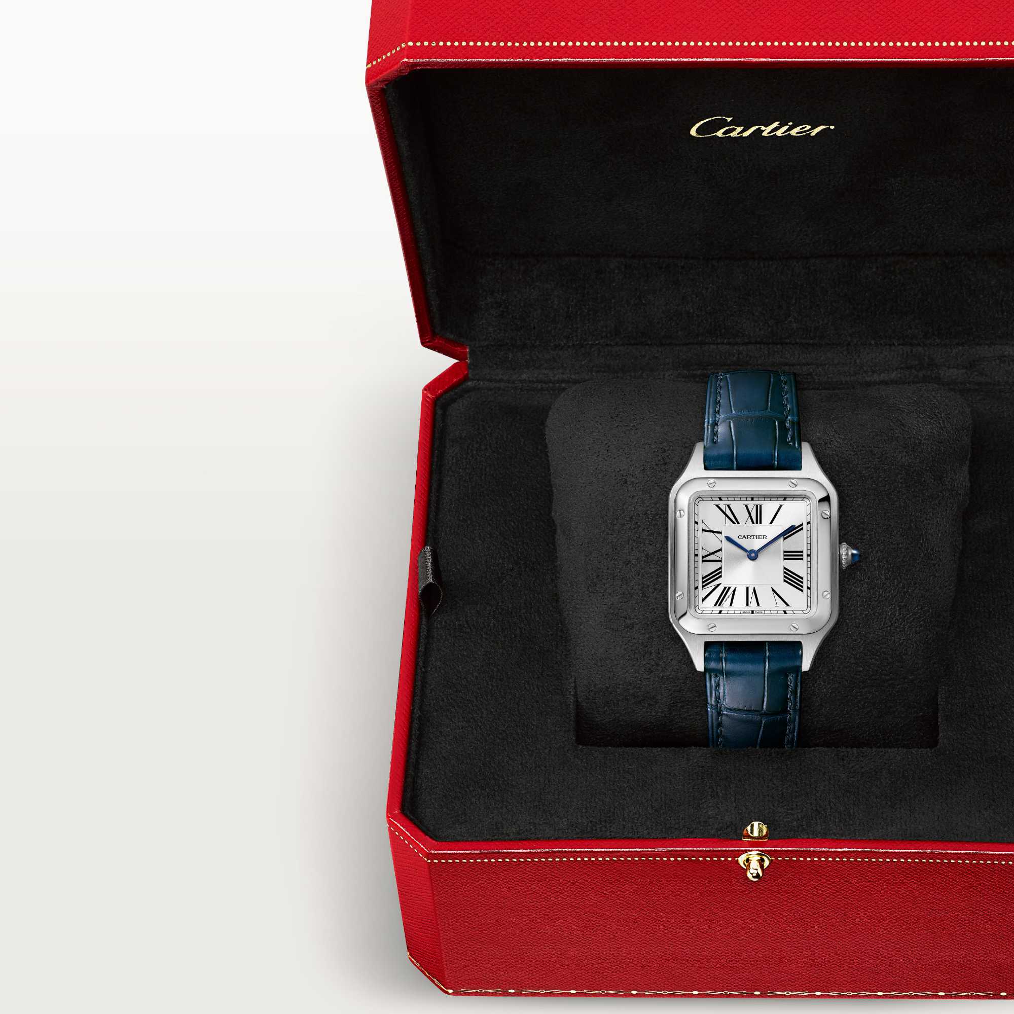 Cartier Santos-Dumont (Ref: WSSA0086)