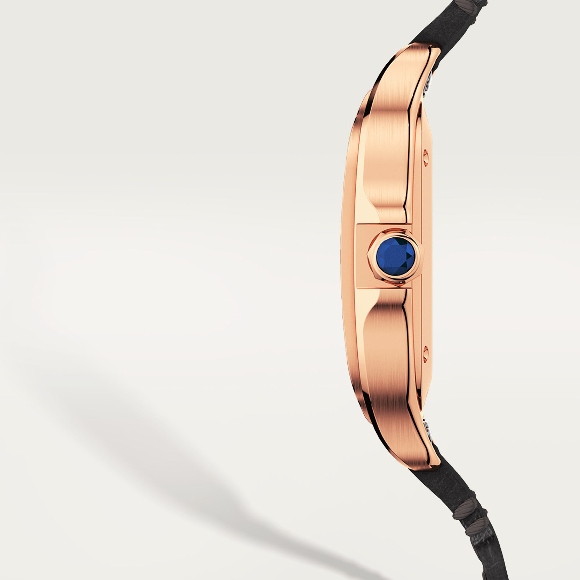 Cartier Santos de Cartier (Ref: WGSA0028)