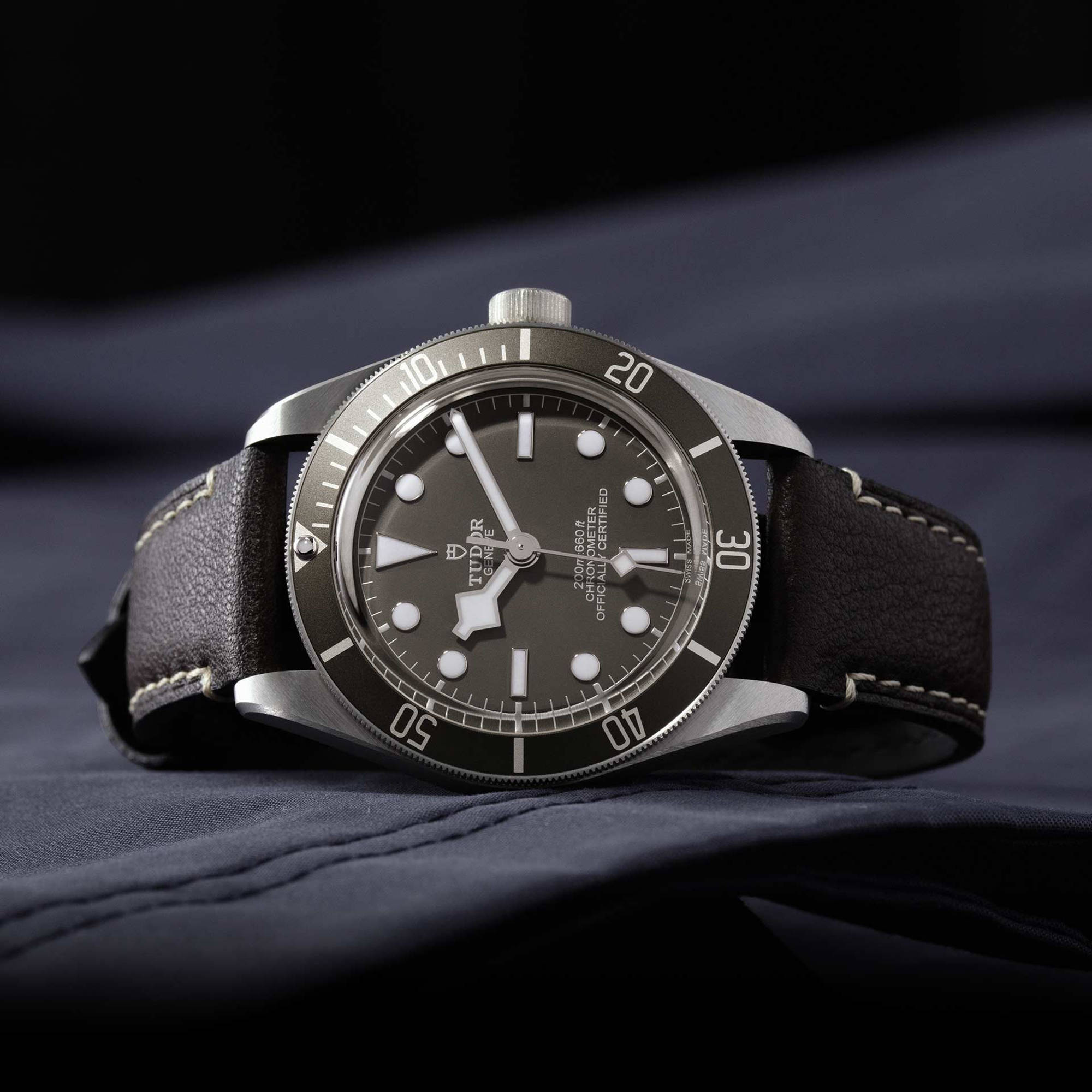 TUDOR Black Bay 58 925 (Ref: M79010SG-0001)