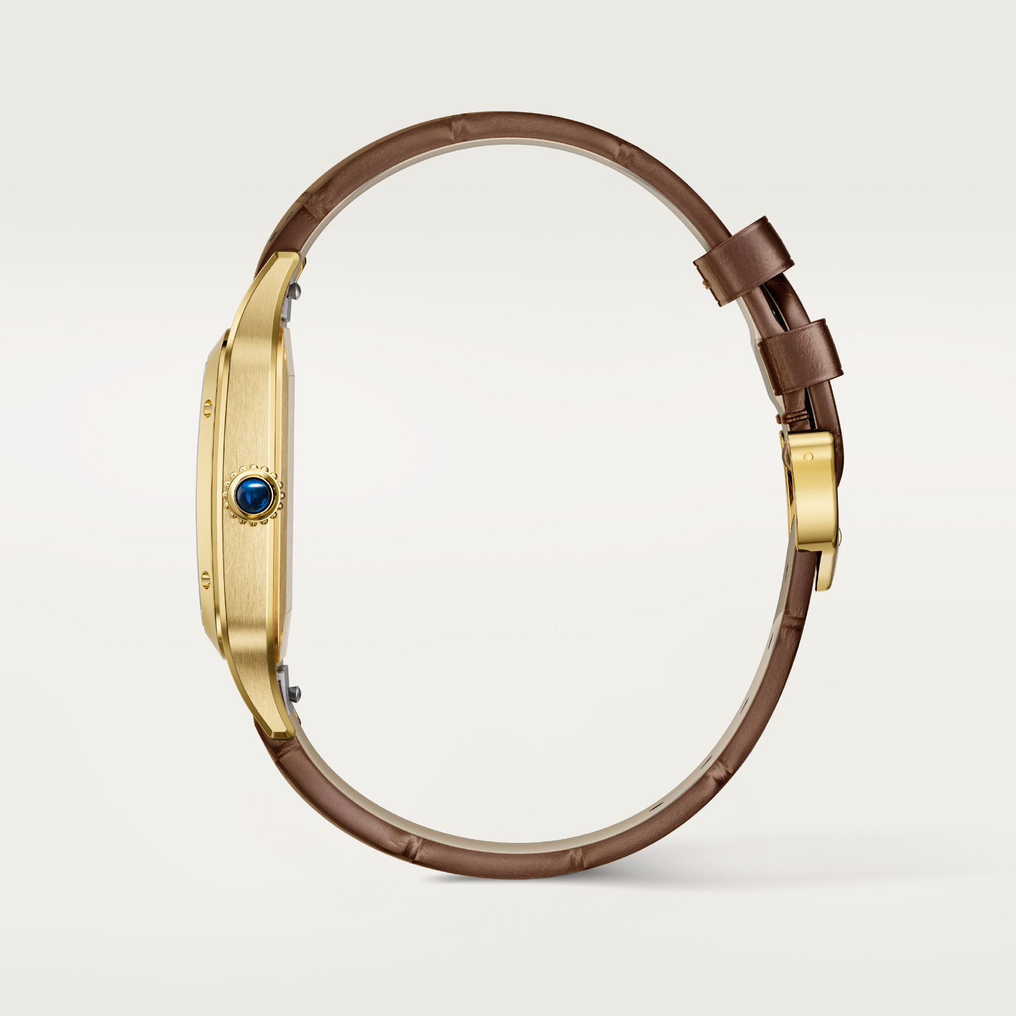 Cartier Santos-Dumont (Ref: WGSA0111)