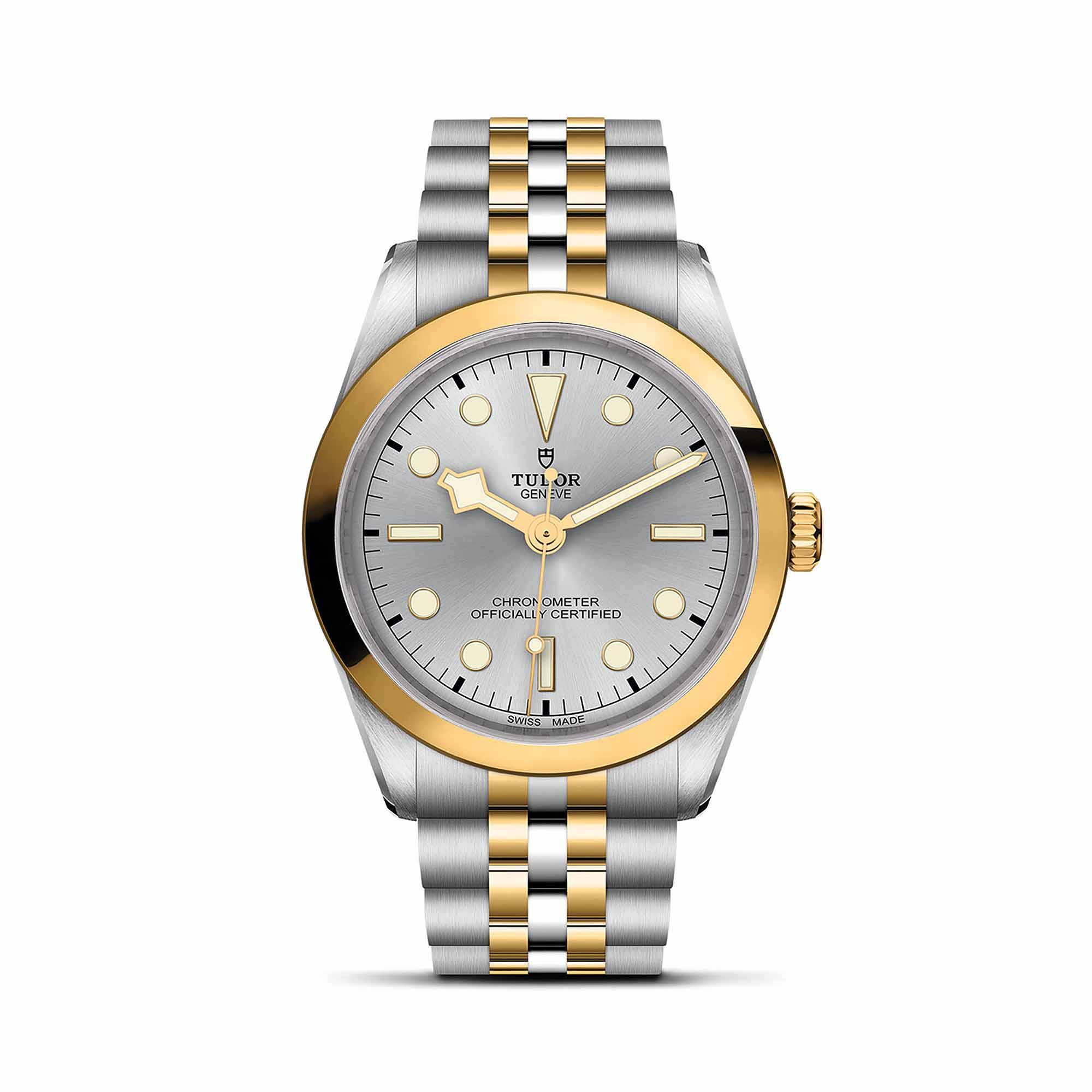 TUDOR Black Bay  36 S&G (Ref: M79643-0002)