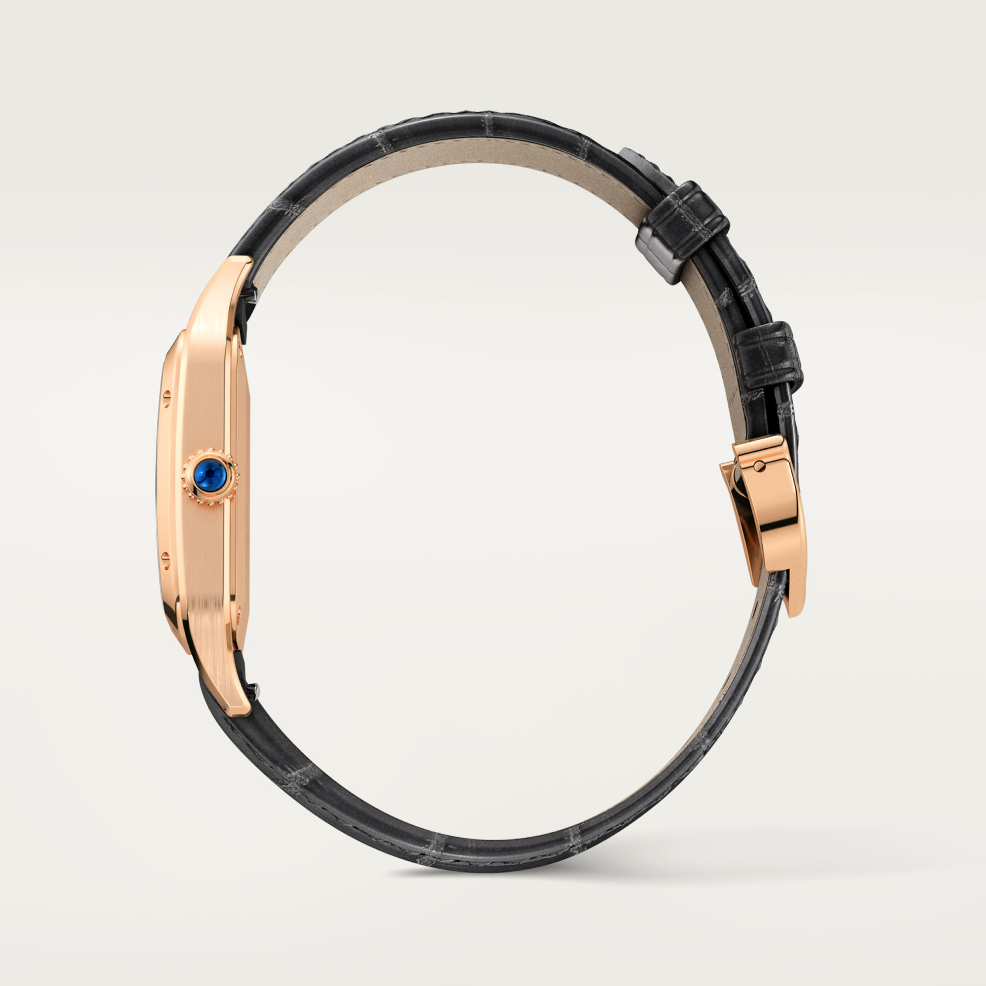 Cartier Santos-Dumont (Ref: WGSA0022)